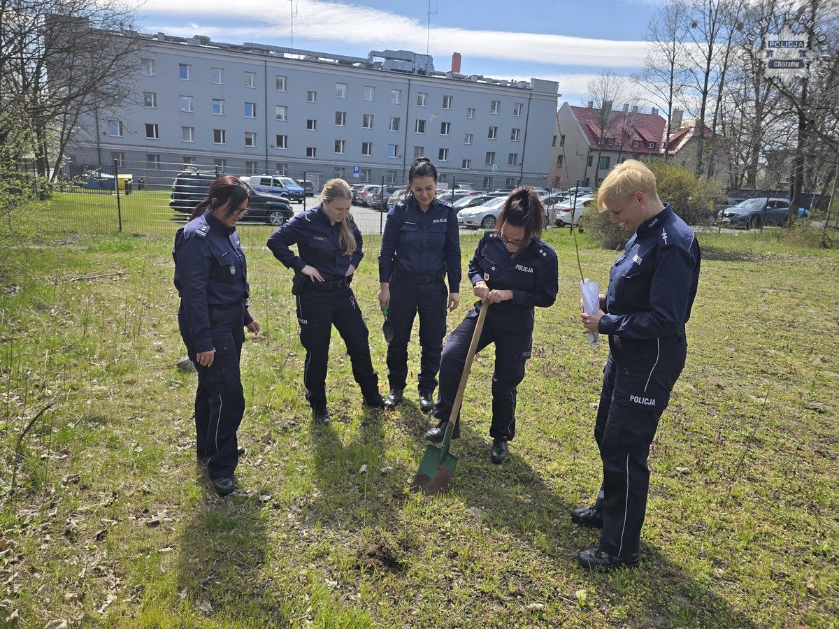 Chorzowskie policjantki posadziły drzewa z okazji Stulecia Kobiet w Policji