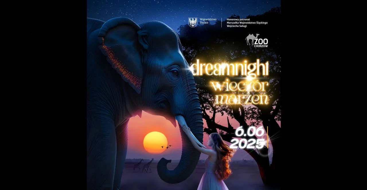 Przed nami Dream Night 2025 – Wieczór Marzeń w ZOO: magia, radość i wspólne chwile