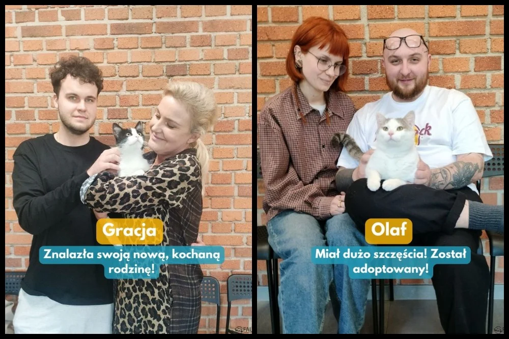 Kolejne Fauniaki trafiły do kochających domów!