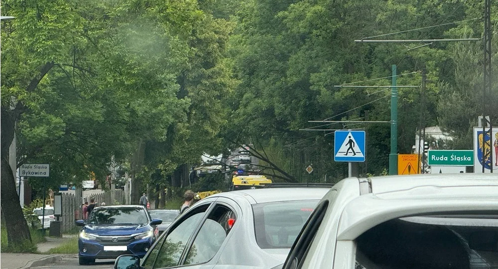 Gałąź drzewa na torowisku w Rudzie Śląskiej. Interweniowali strażacy