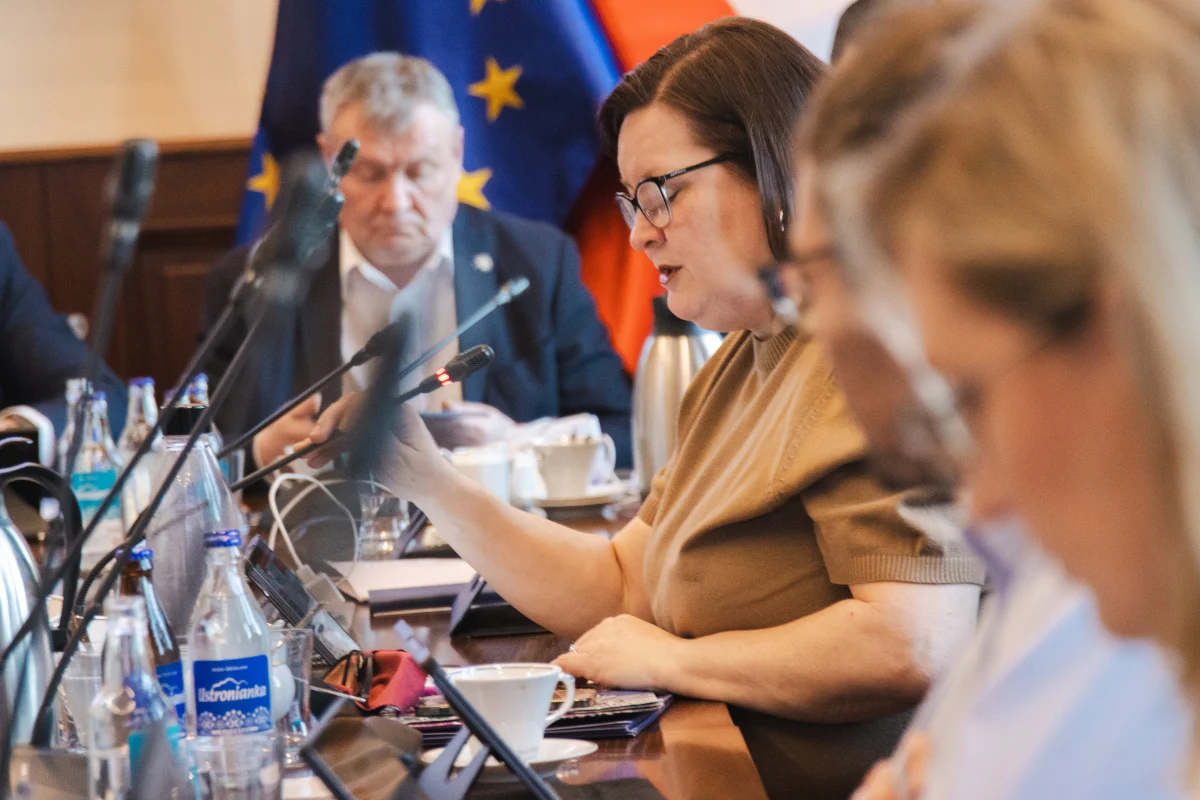 Majowe posiedzenia komisji Rady Miejskiej Wodzisławia Śląskiego – harmonogram i transmisje