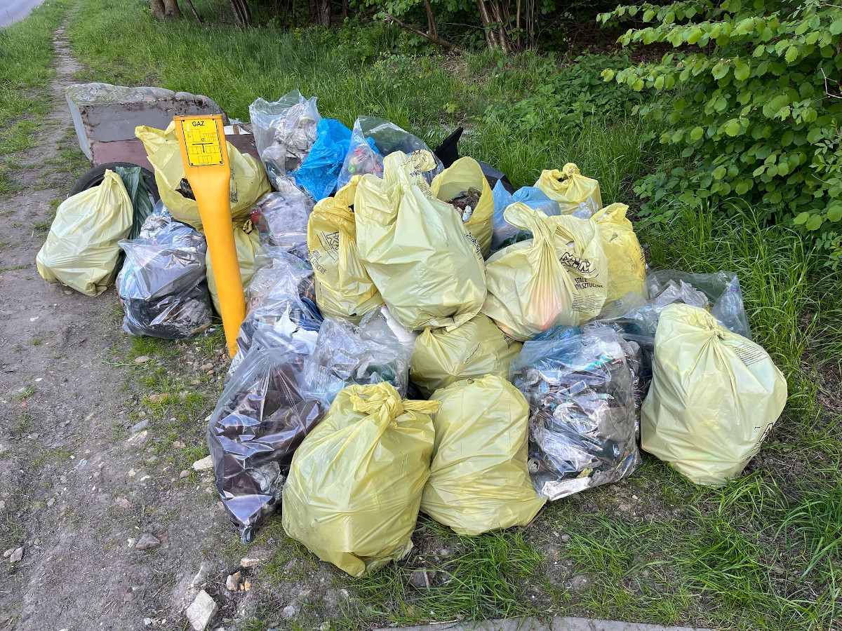 Wiosenne porządki w mieście – mieszkańcy i firmy sprzątają tereny zielone