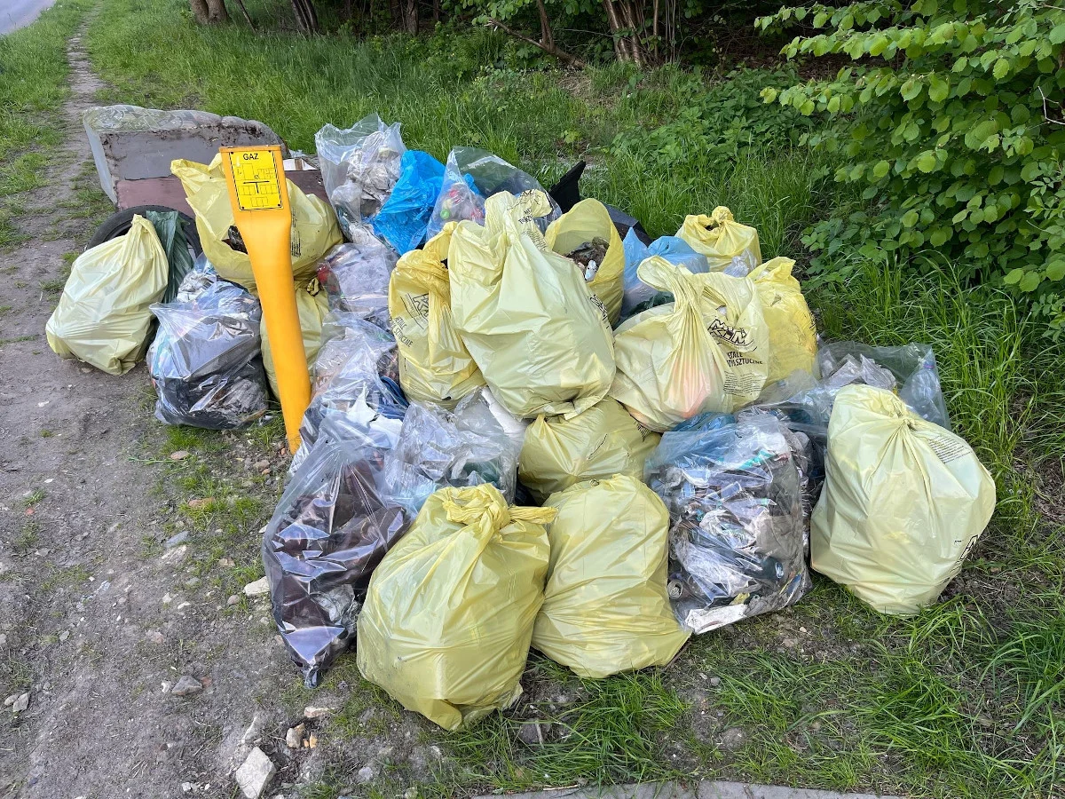 Wiosenne porządki w mieście – mieszkańcy i firmy sprzątają tereny zielone