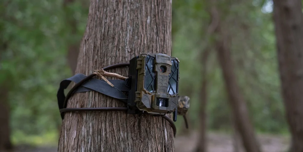 Fotopułapka nagrała złodzieja w dzielnicy Bończyk. Sprawca ujęty