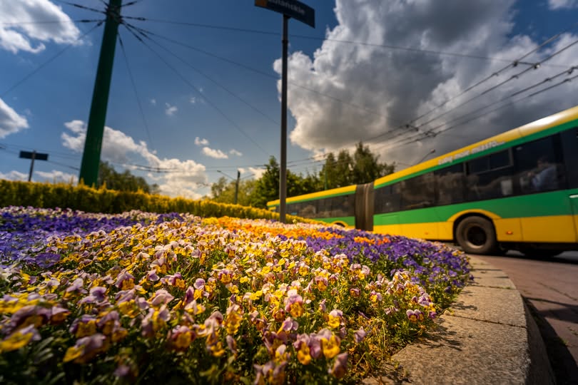 Zmiany na trasie linii M10. Sprawdź nowe przystanki i trasę