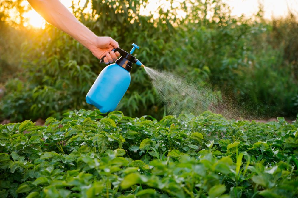 Opryskiwacze ogrodowe – jaki wybrać?