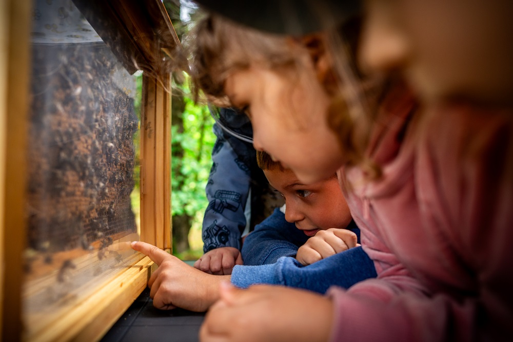 Miodobranie w Parku Łabędzi. Tyszanie znów spotkają się przy ulach z recyklingu