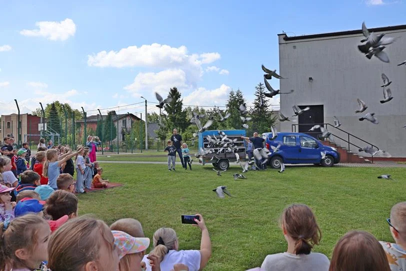 Ponad 200 gołębi pocztowych wypuszczonych przez dzieci w Orzeszu