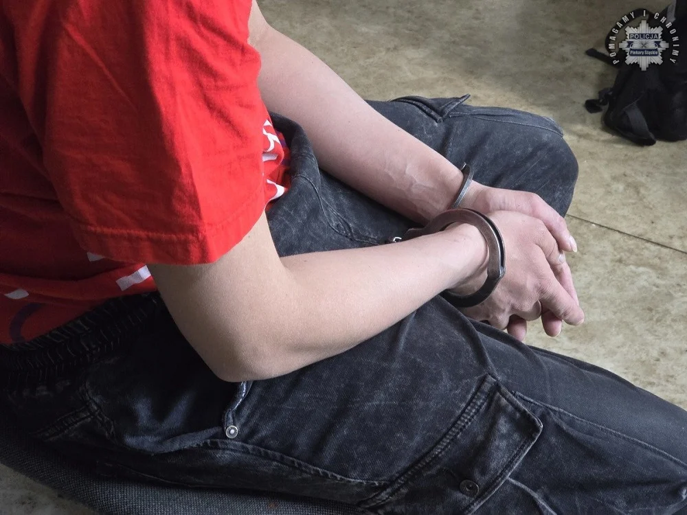 Zatrzymano podejrzanego o podpalenie restauracji przy ul. Skłodowskiej-Curie