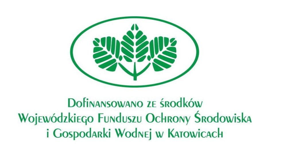 Nadmorska przygoda uczniów z Piekar. Zielone szkoły znów ruszyły!