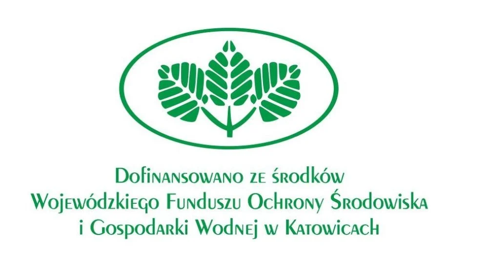 Nadmorska przygoda uczniów z Piekar. Zielone szkoły znów ruszyły!