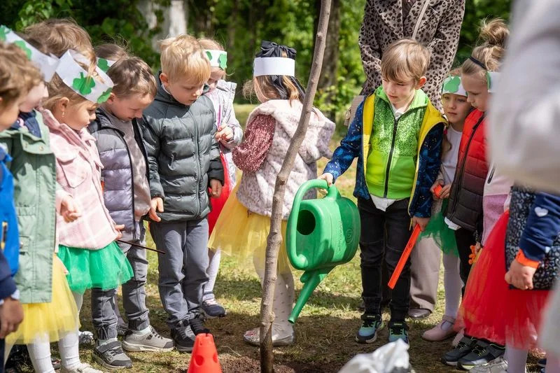 Nowe drzewa w Rybniku: 523 rośliny w przestrzeni miejskiej i edukacyjnej
