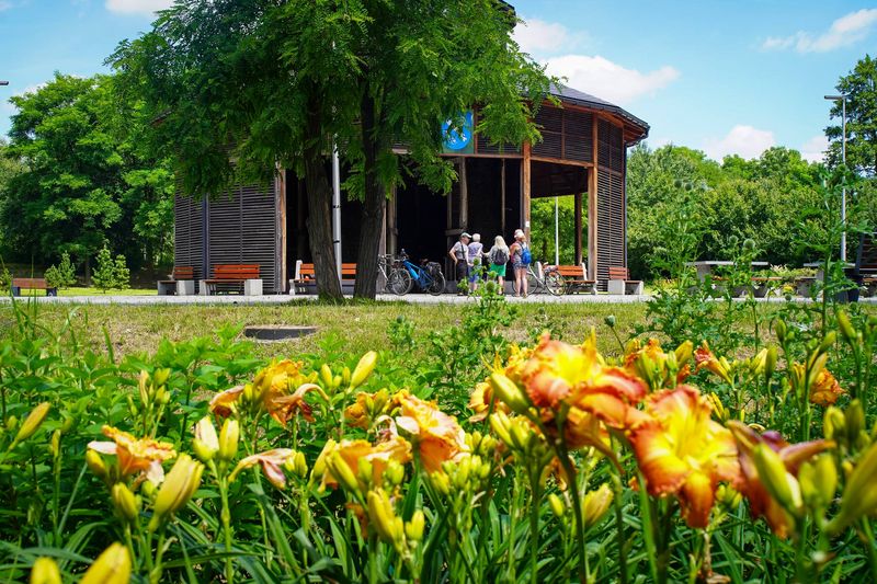 Rybnicki Zarząd Zieleni Miejskiej wspiera pszczoły i bioróżnorodność