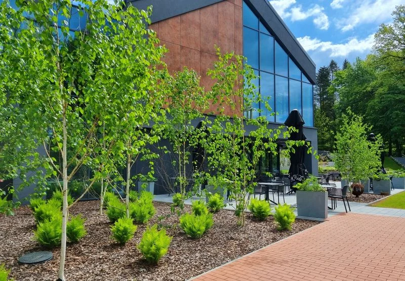 Zielony Rybnik: ogrodnicy z pasją, którzy zmieniają przestrzeń