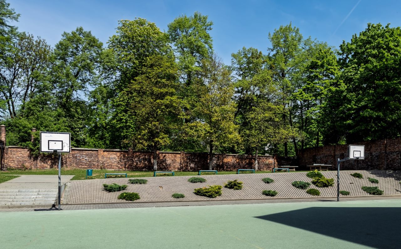 "Piątka" będzie miała swój ogrodowy raj!