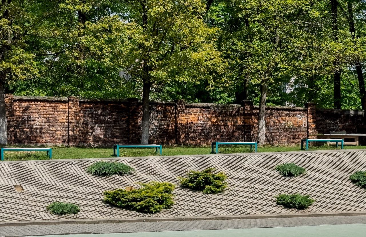 "Piątka" będzie miała swój ogrodowy raj!