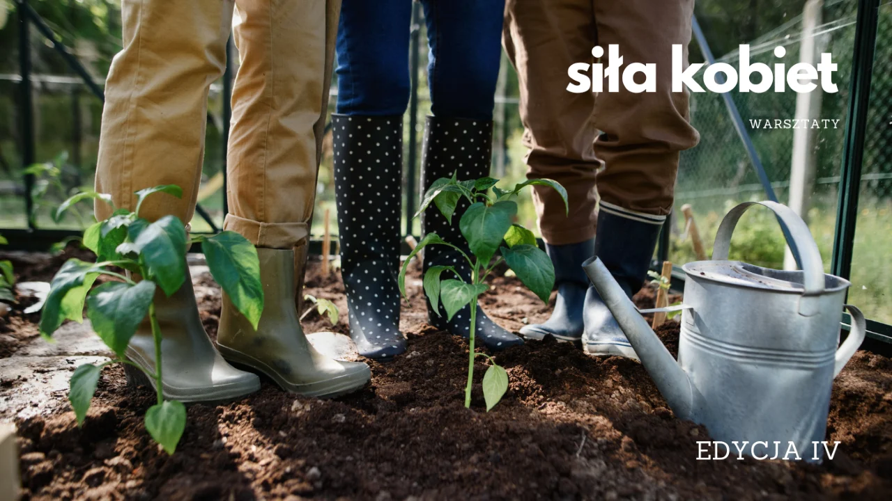 Przed nami kolejna edycja warsztatów Siła kobiet. Sprawdźcie szczegóły!