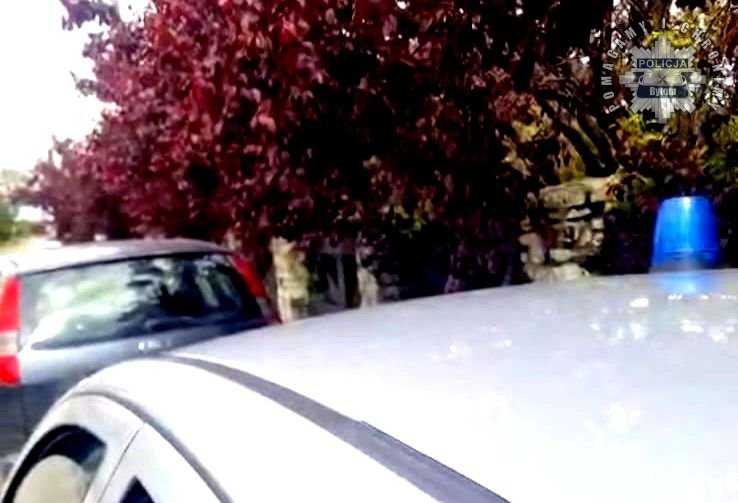 Poszukiwany do odbycia kary roku pozbawienia wolności "wpadł" podczas kontroli drogowej