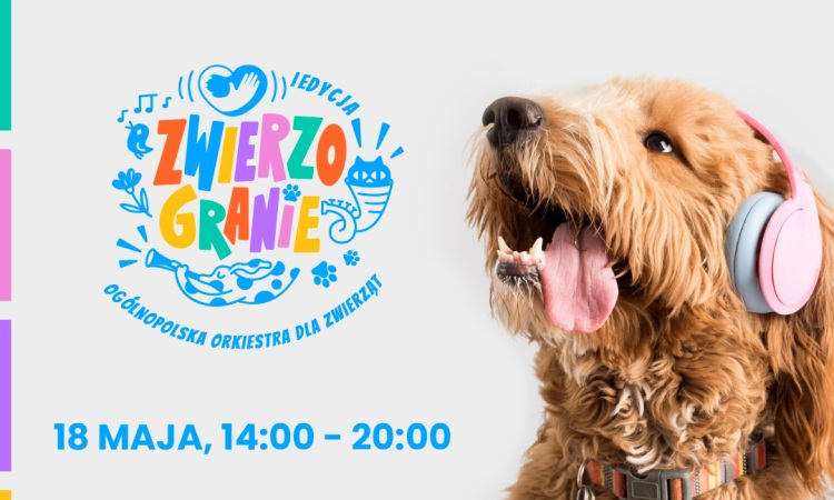 Sosnowiec dla zwierząt: finał Zwierzogrania 2025 już w niedzielę!