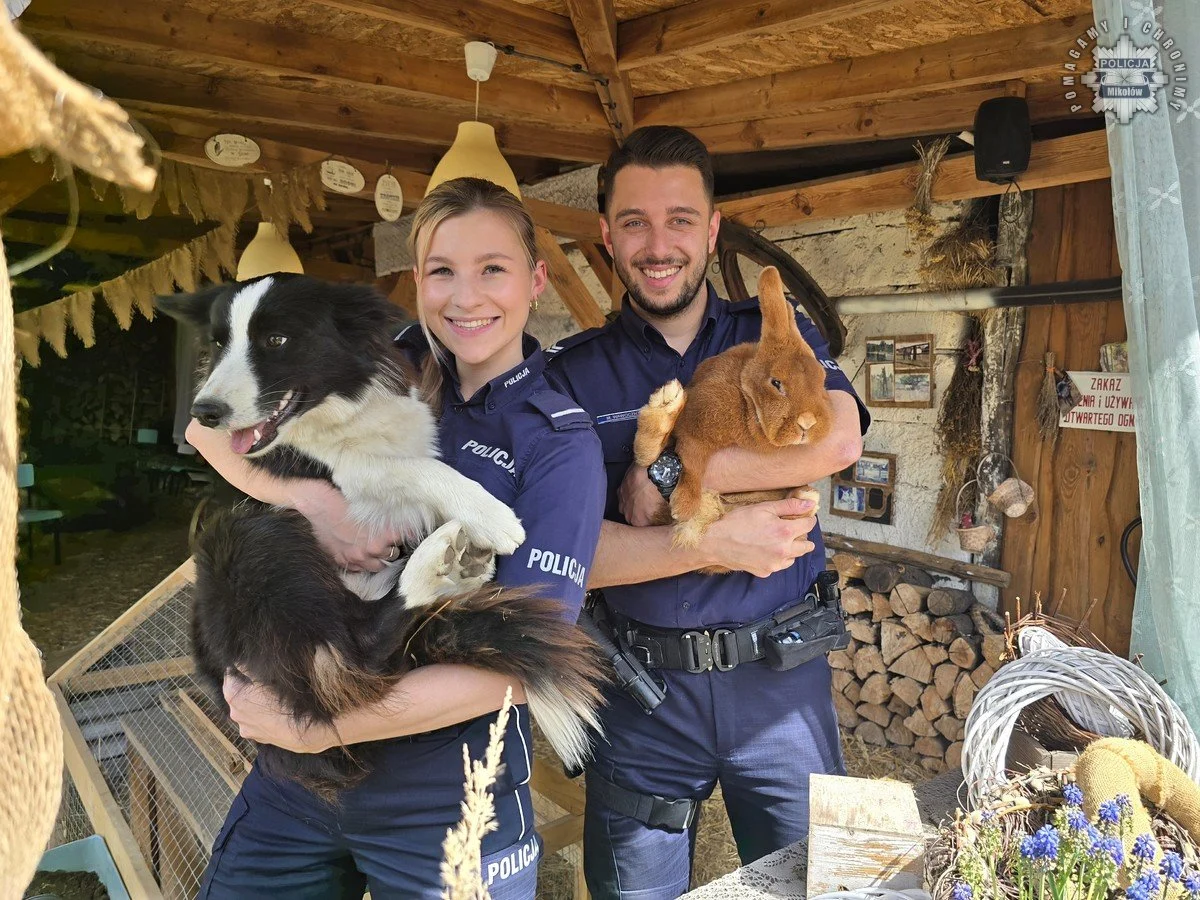 Zielona Strefa: mikołowska policja przypomina o wspólnej odpowiedzialności za środowisko