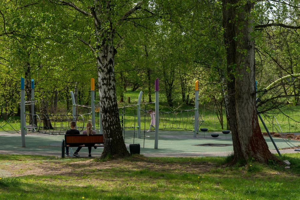Zielone zmiany w Katowicach. Nowe alejki, ścieżki i tysiące roślin!