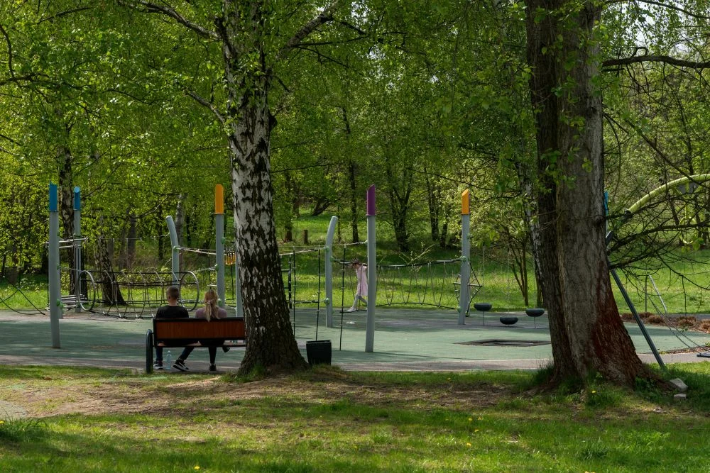 Zielone zmiany w Katowicach. Nowe alejki, ścieżki i tysiące roślin!