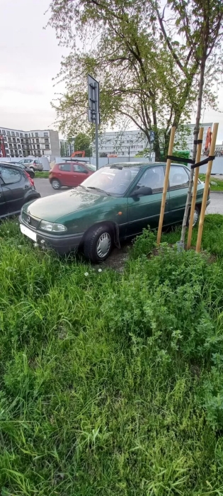 „Wyzwanie-parkowanie” w Katowicach: 503 wykroczenia, zniszczona zieleń i zablokowane drogi 25