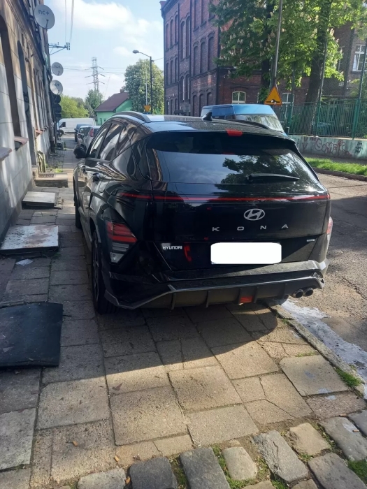 „Wyzwanie-parkowanie” w Katowicach: 503 wykroczenia, zniszczona zieleń i zablokowane drogi 26