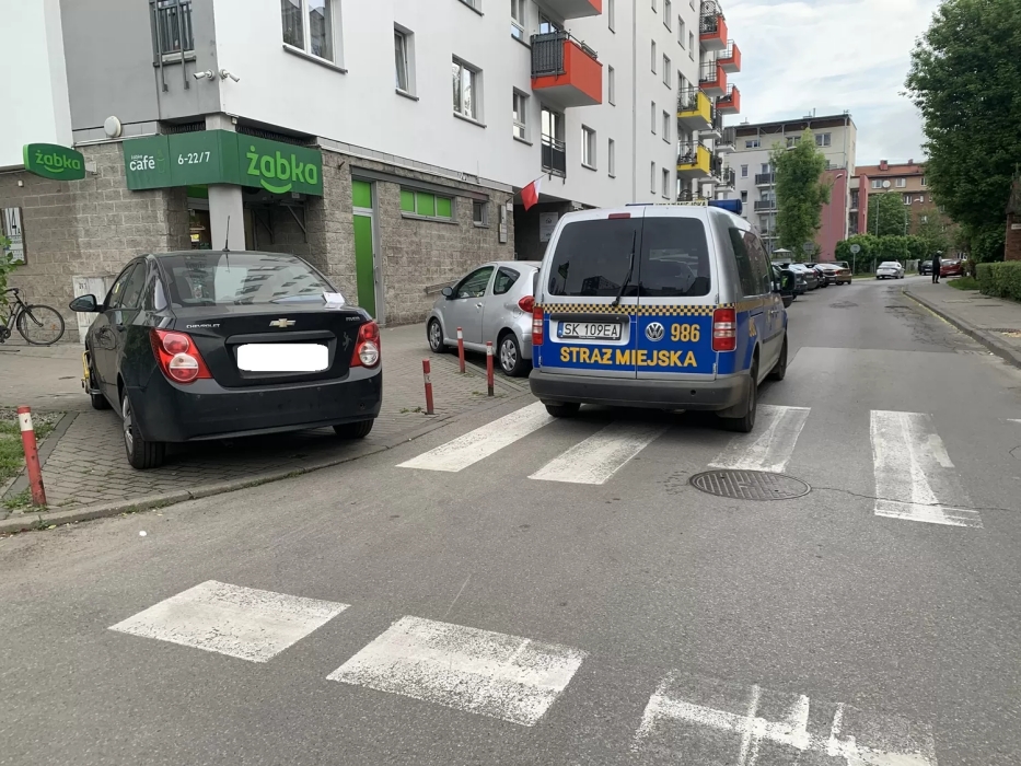 „Wyzwanie-parkowanie” w Katowicach: 503 wykroczenia, zniszczona zieleń i zablokowane drogi 28