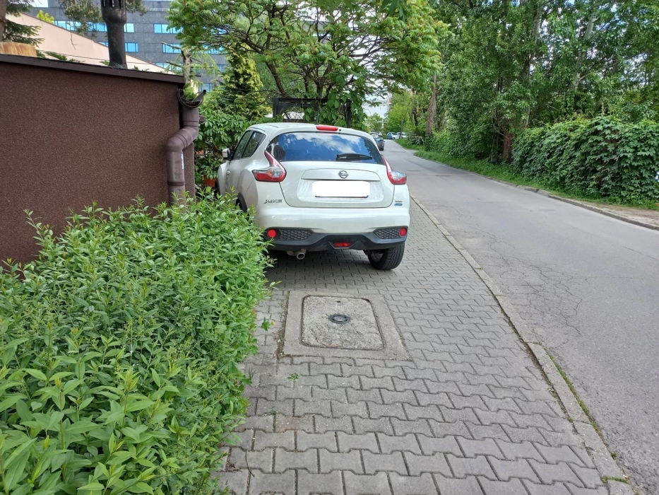 „Wyzwanie-parkowanie” w Katowicach: 503 wykroczenia, zniszczona zieleń i zablokowane drogi