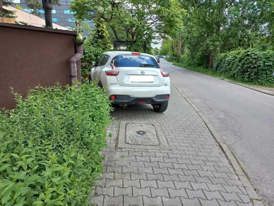 „Wyzwanie-parkowanie” w Katowicach: 503 wykroczenia, zniszczona zieleń i zablokowane drogi