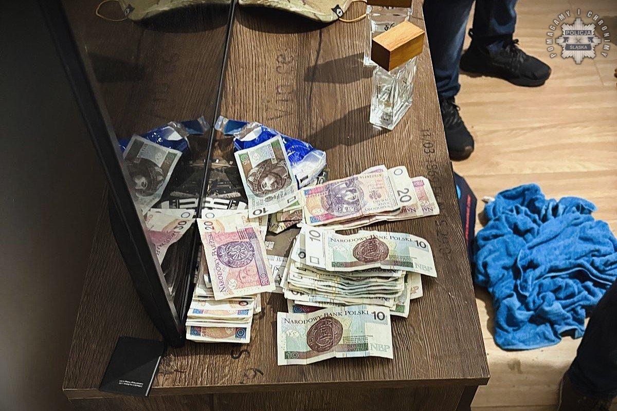 Handel ludźmi, narkotyki i nielegalna migracja. Międzynarodowa akcja śląskiej policji! 1