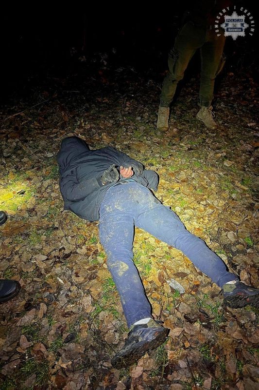 Zatrzymani złodzieje samochodów. Straty przekroczyły 2 miliony złotych!