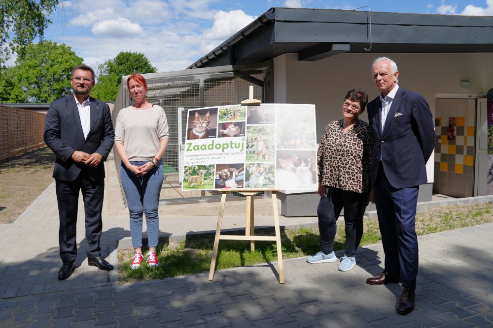 Koty z Katowic zyskują nowy dom. Otwarto nowoczesny pawilon w schronisku!