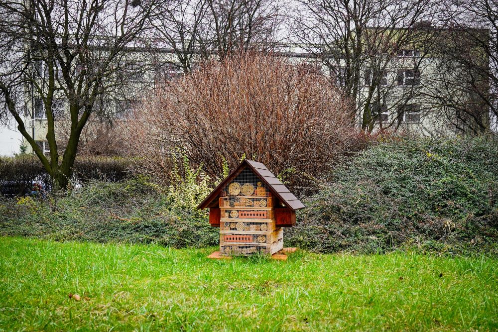 Siedem uli, 25 domków i hektary łąk. Katowice wspierają zapylacze