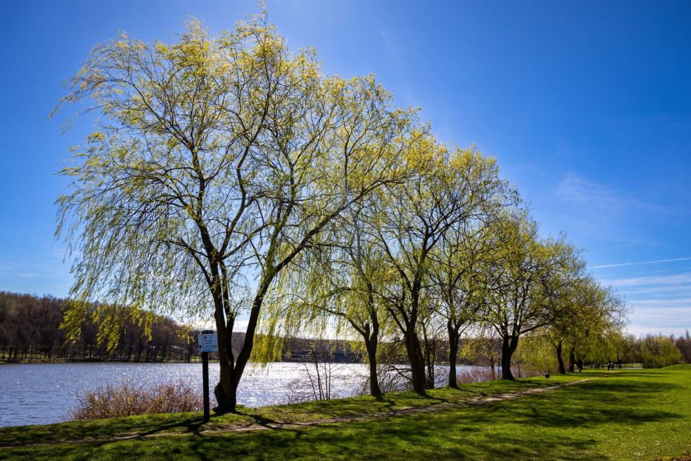 Pokazy żołnierzy, animacje, zabawy sportowe, symulatory ratownictwa i orkiestra wojskowa