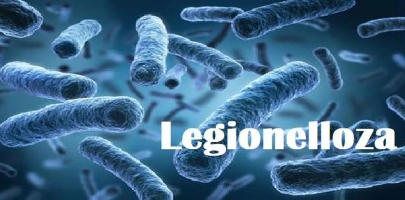Uwaga na bakterie Legionella – ważne zalecenia przed sezonem letnim