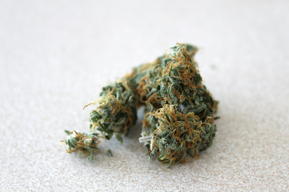 Marihuana i ecstasy w rękach nastolatków w Zabrzu. Policja apeluje o czujność