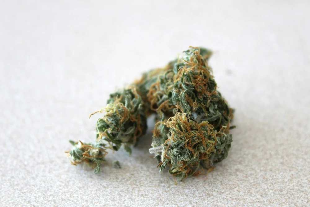 Marihuana i ecstasy w rękach nastolatków w Zabrzu. Policja apeluje o czujność