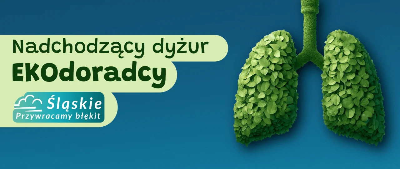 Bezpłatne konsultacje z Ekodoradcą w Świętochłowicach już 9 maja