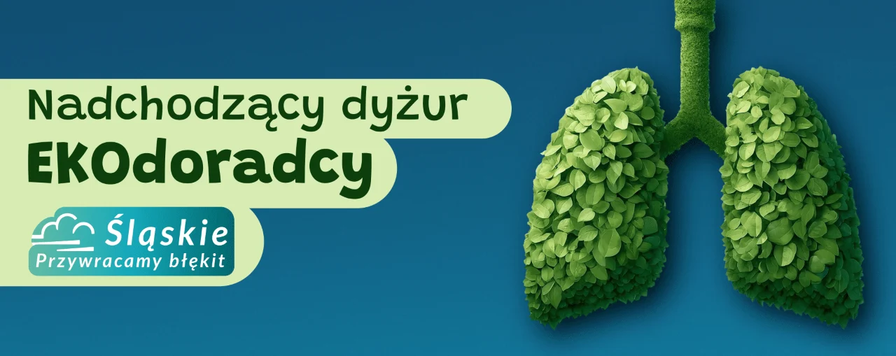 Kolejne bezpłatne konsultacje z Ekodoradcą w Świętochłowicach już 22 maja!