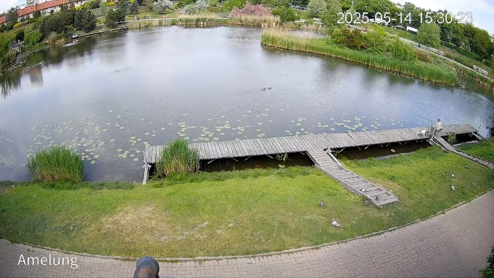 Na Amelungu została zamontowana kamera!