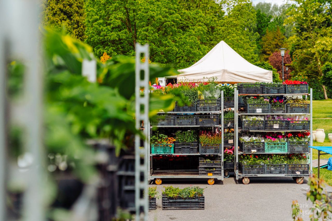 Dziś w Chorzowie startuje Parkowy Kiermasz Kwiatowy!
