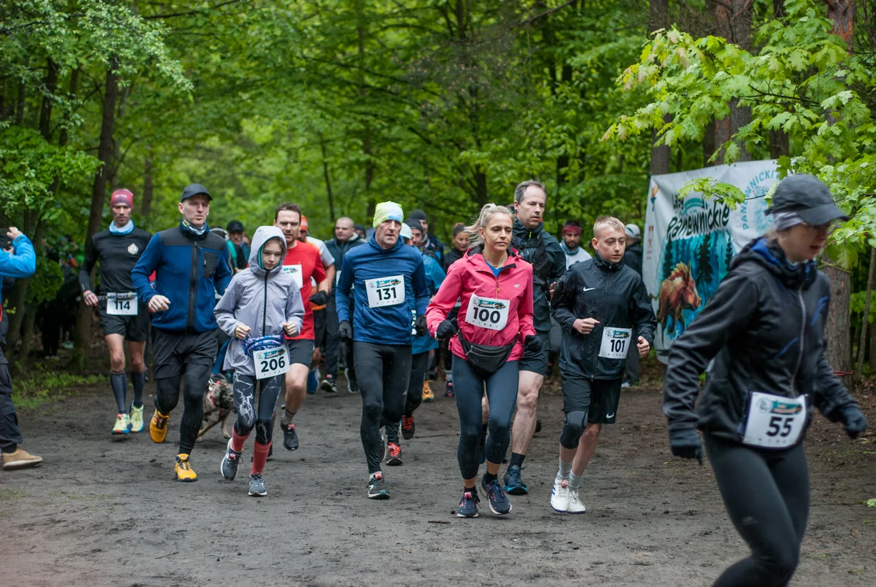 Za nami Panewnicki Bieg Dzika - edycja maj 2025 [FOTORELACJA]