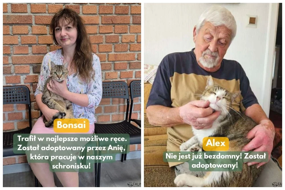 Kolejne Fauniaki w nowych domach!