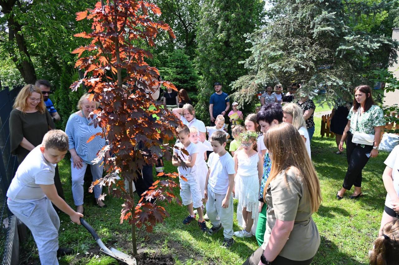 Festiwal Ekologiczny w Rudzie Śląskiej – dziecięcy prezydent Dominika w akcji 3