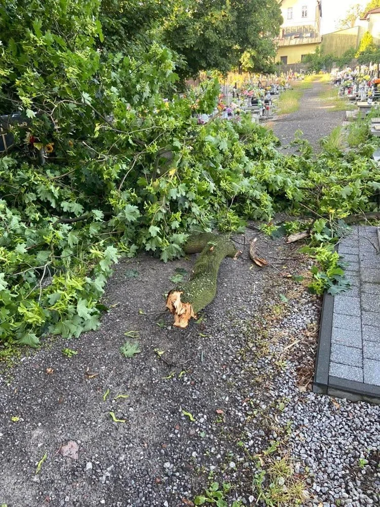 Skutki burzy w Rudzie Śląskiej 2