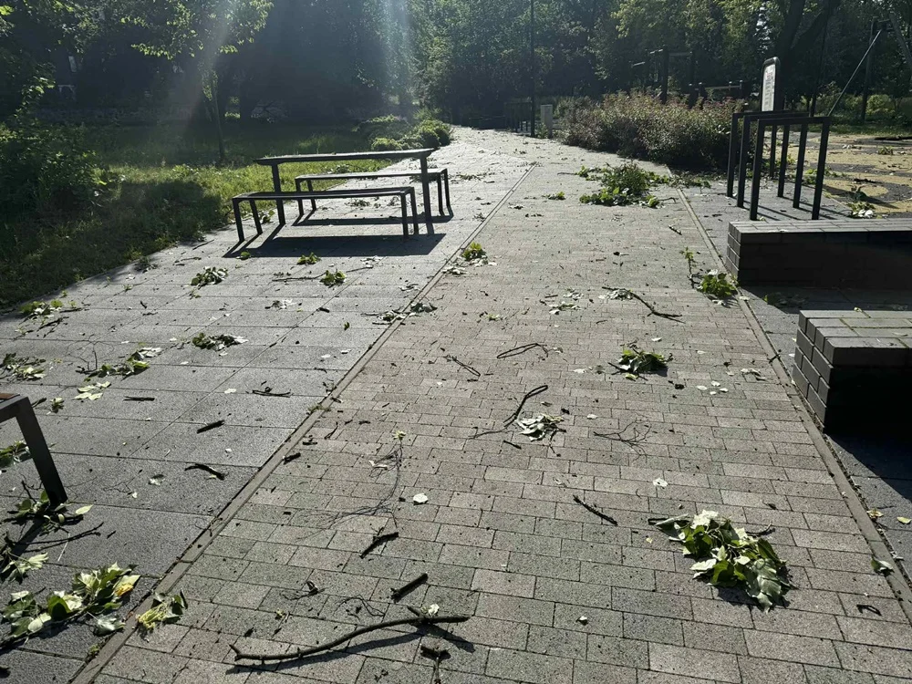 Skutki burzy w Rudzie Śląskiej 3