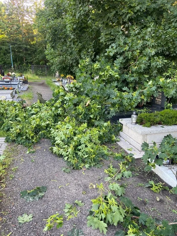 Skutki burzy w Rudzie Śląskiej 4