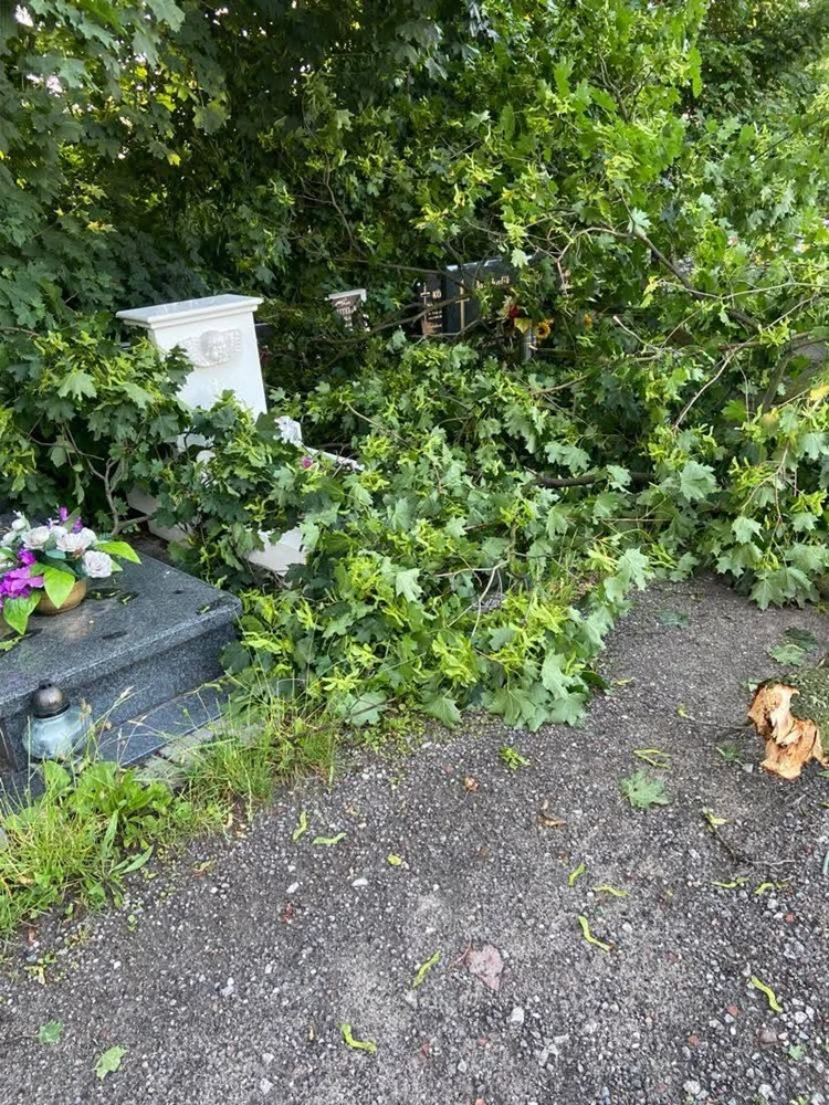 Skutki burzy w Rudzie Śląskiej 6